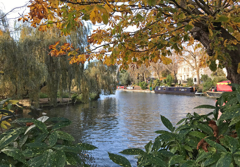 A view of Paddington Basin at Little Venice looking through the trees in Autumn