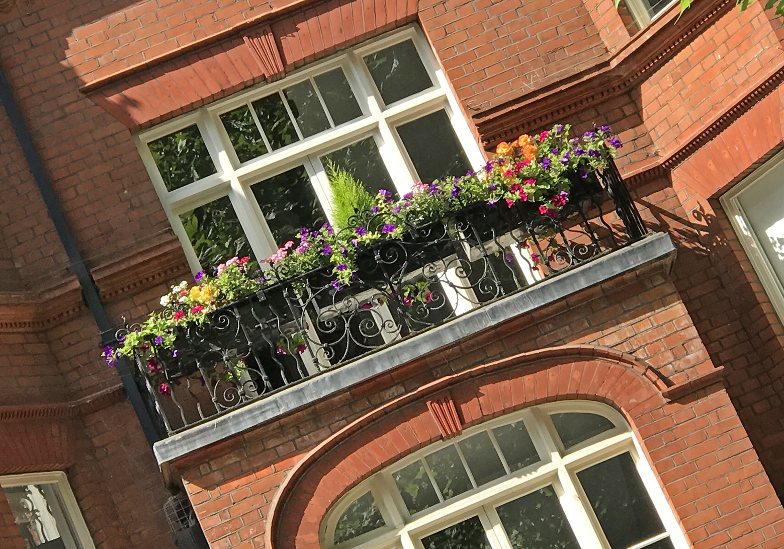 Summer flowers in bloom on one of the building's balconies at Morshead Mansions