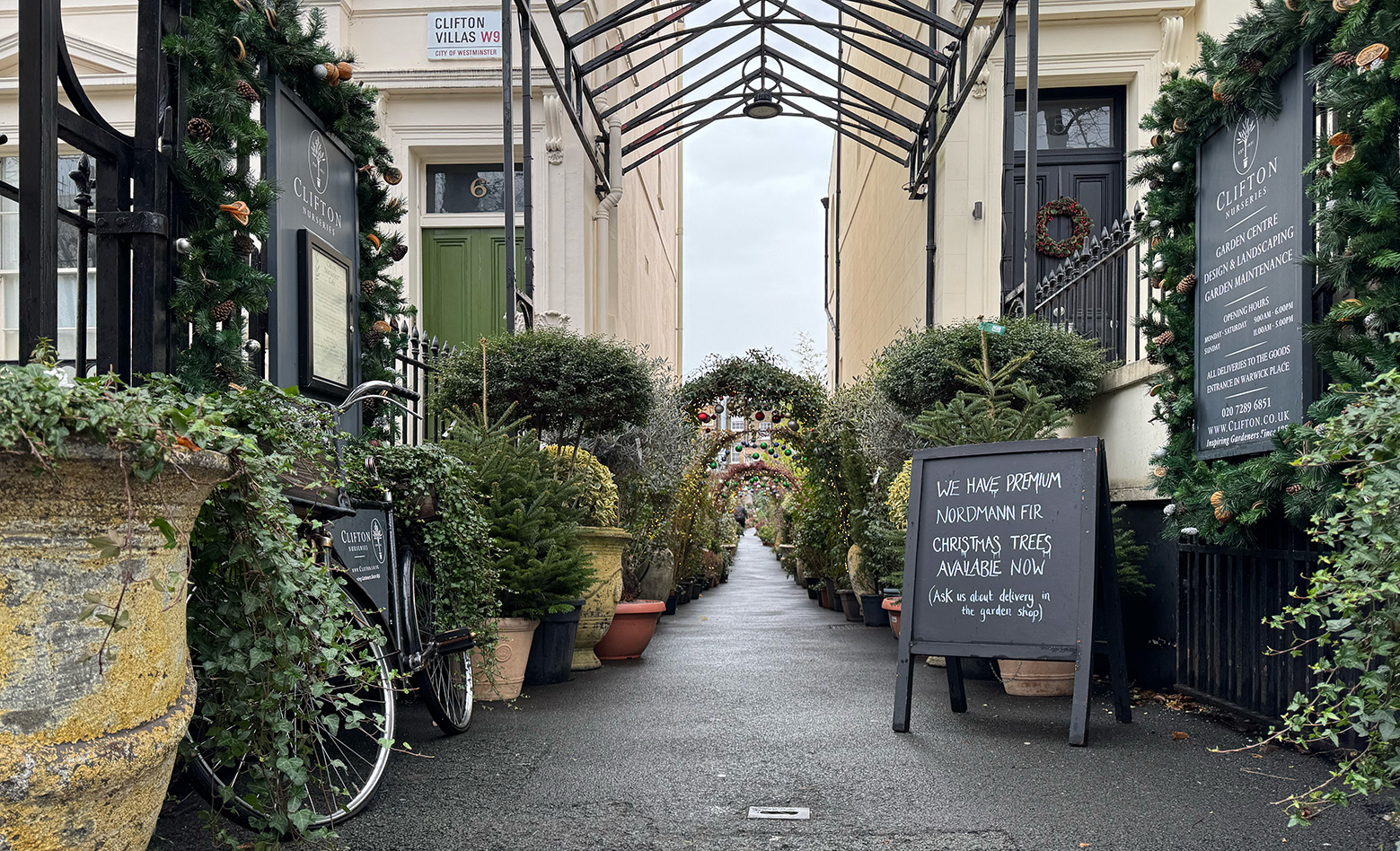 Clifton Nurseries sells real Christmas Trees and is close to Morshead Mansions