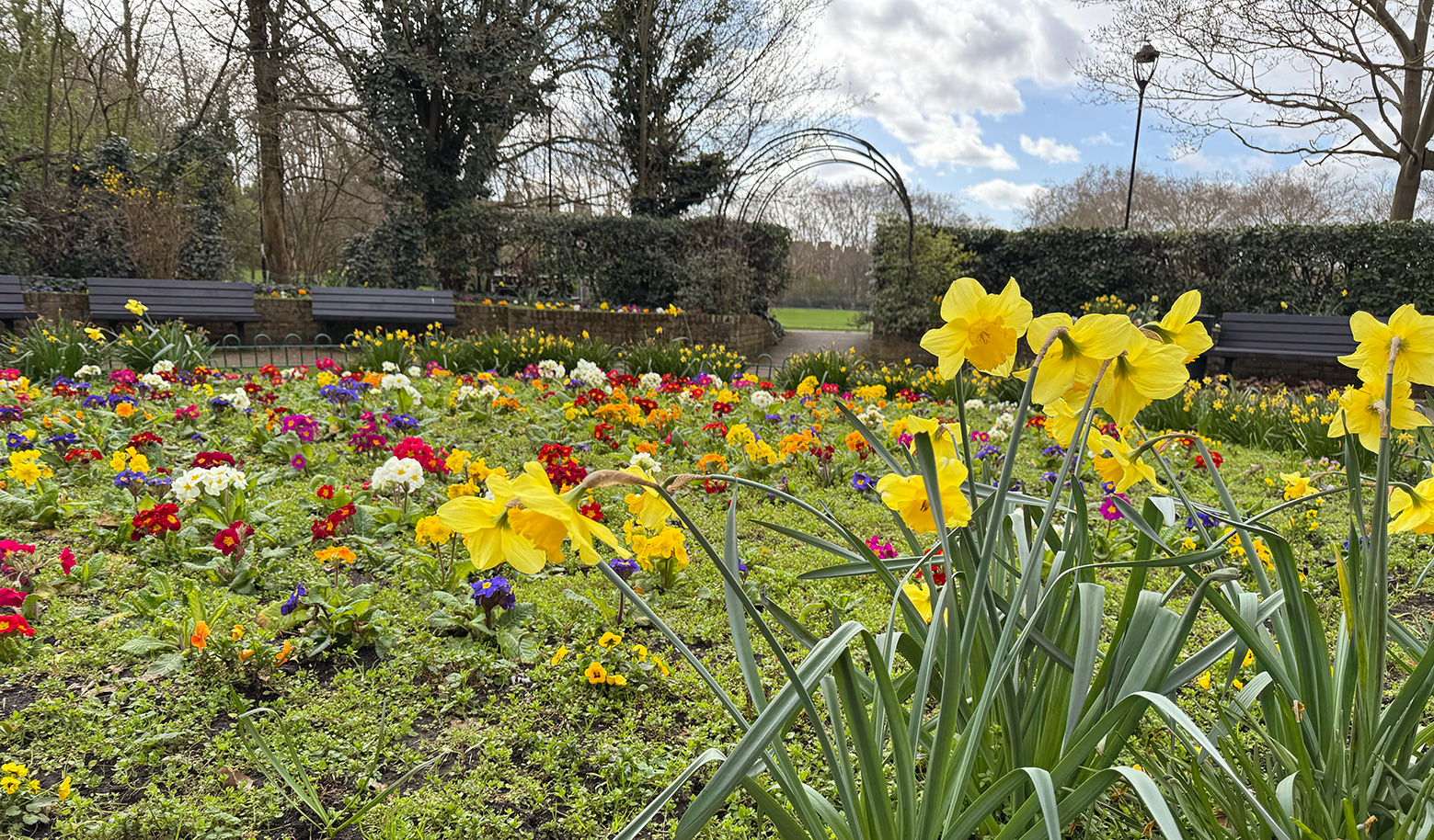 Paddington Recreation Ground showing signs of Spring