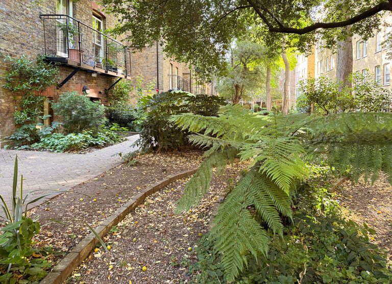 The Morshead Mansions communal garden