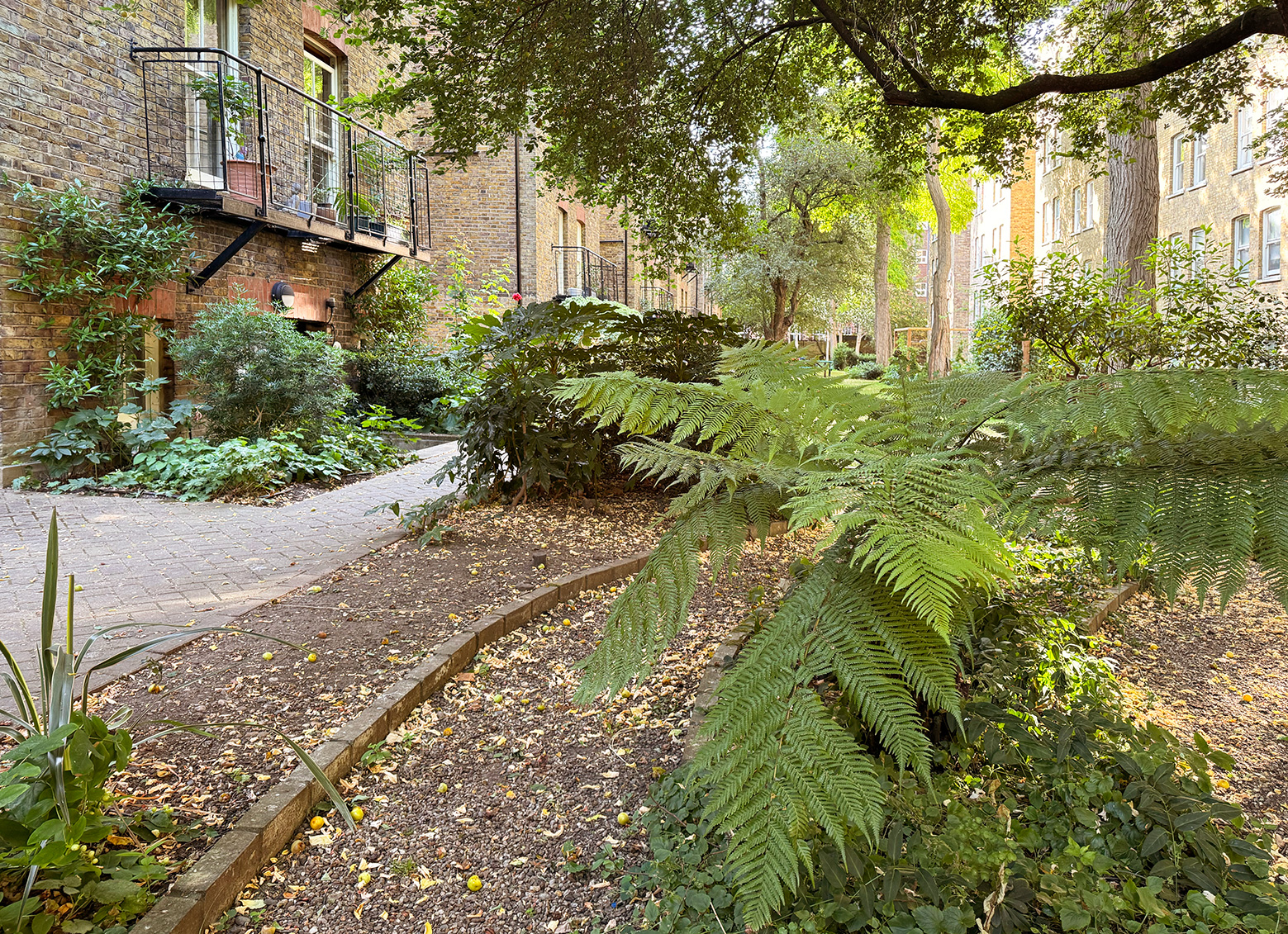 The Morshead Mansions communal garden